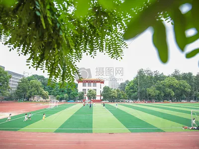 蜘蛛直播小狐狸_蜘蛛直播小狐狸免费观看直播体育直播_蜘蛛直播小狐狸体育直播比赛直播